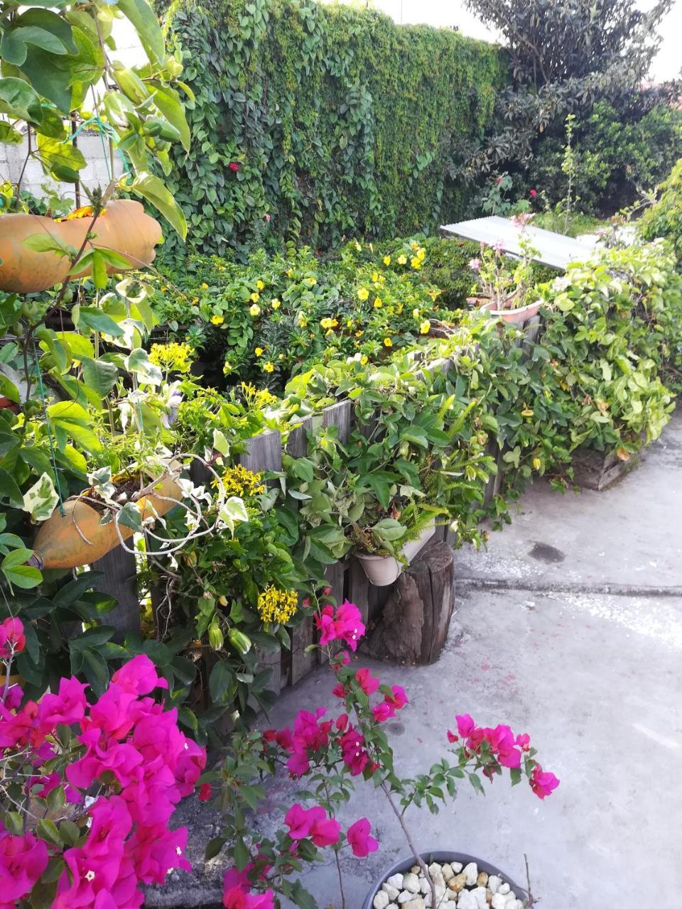לינה וארוחת בוקר אנטיגואה גואטמלה Casa Moka מראה חיצוני תמונה